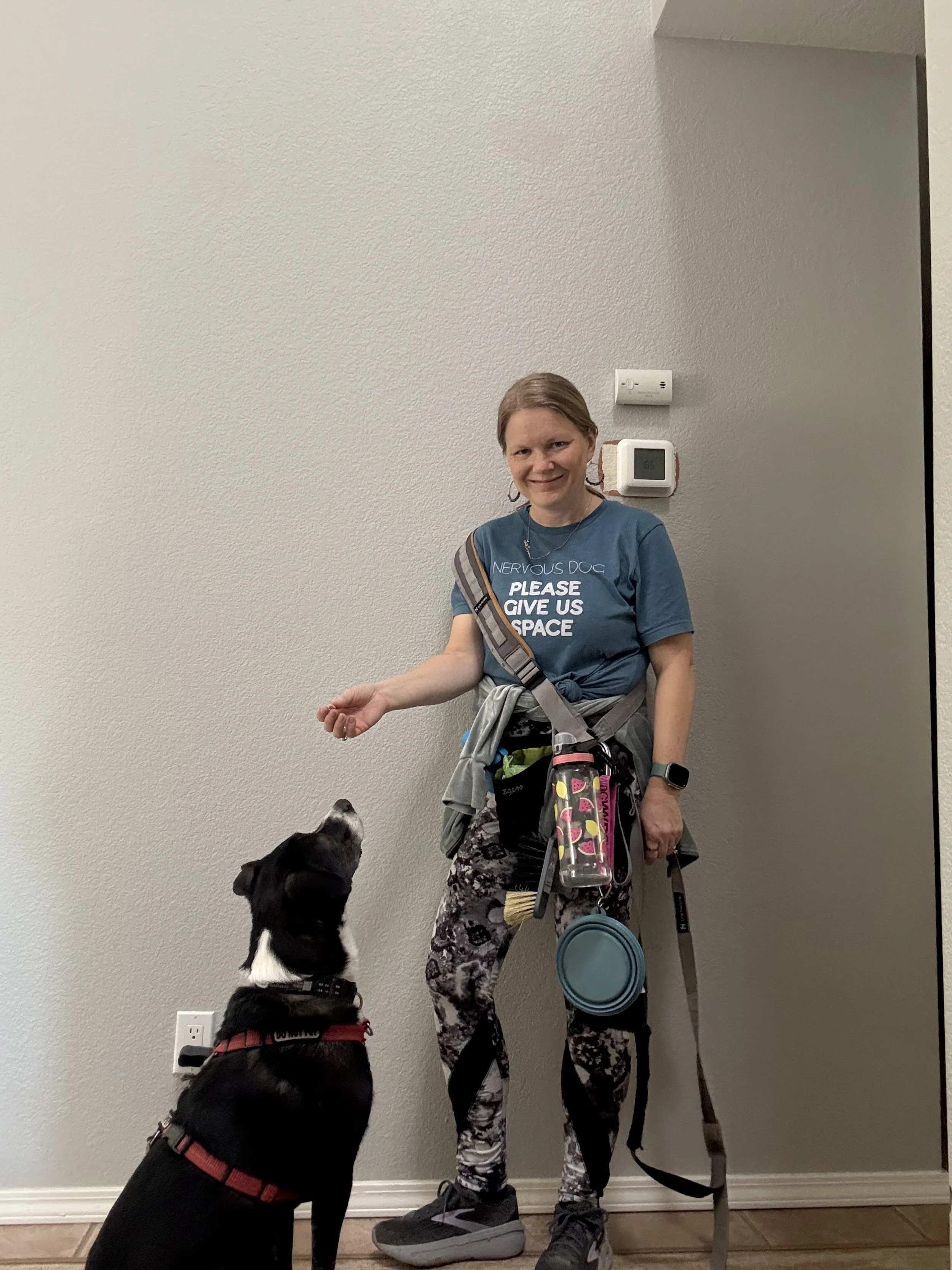 And the award goes to...: Why We Deserve the (Dog) Parents of the Year Award (and You Might Too)