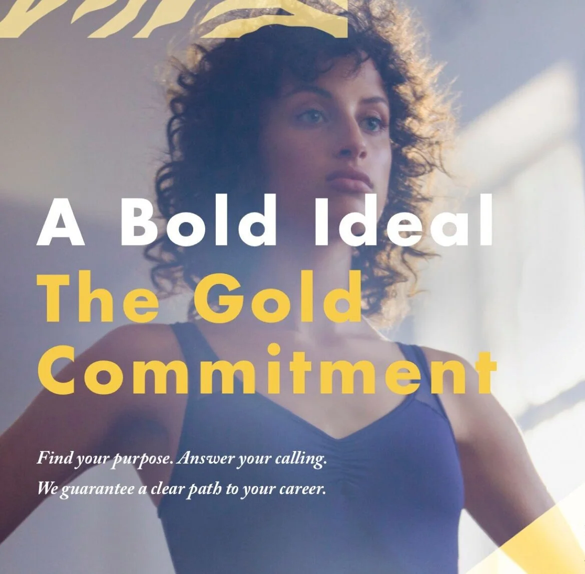 Gold+Commitment+Pagetype.jpg