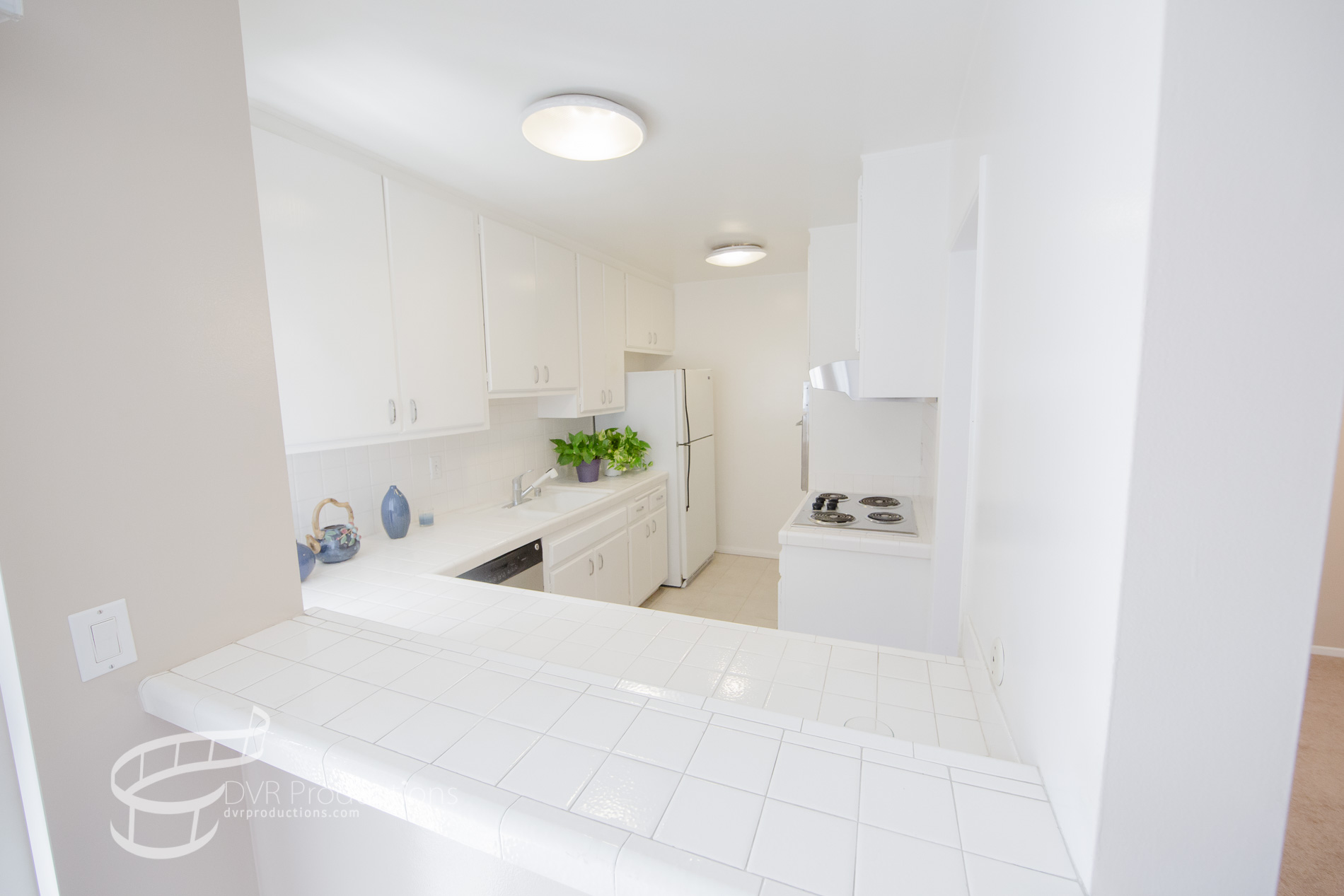 RealEstate dvrproductions.com-40.jpg