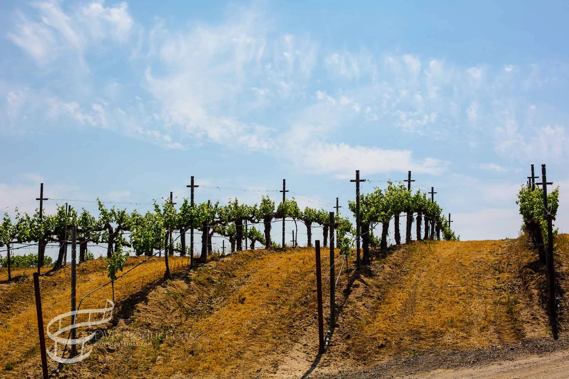 RealEstate dvrproductions.com-70.jpg