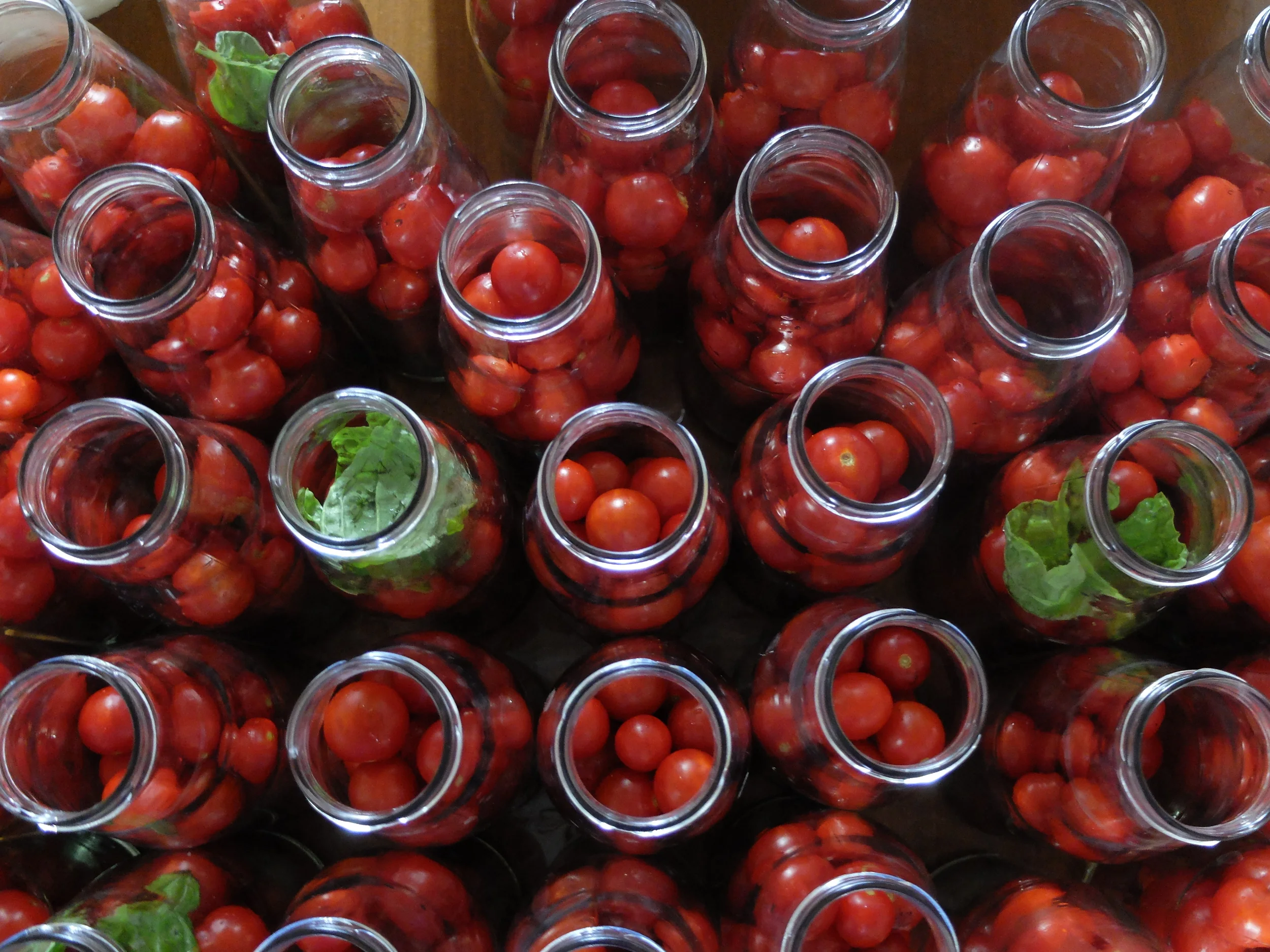 Preparing Salsa con pomodorini