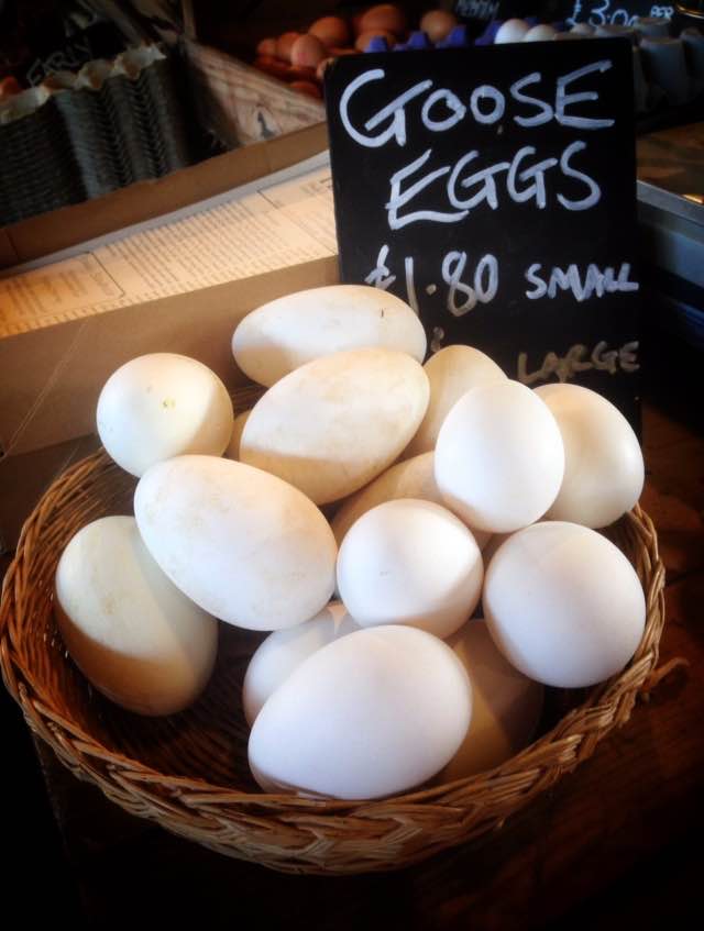 Goose eggs are available around May time