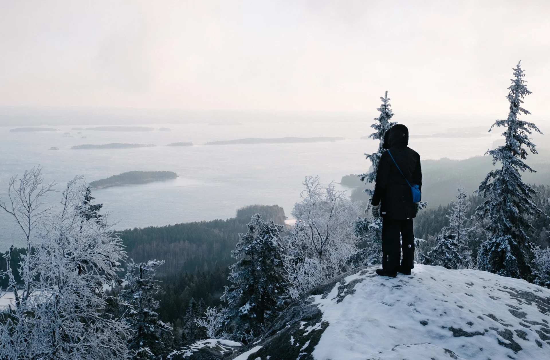 View from Ukko-Koli