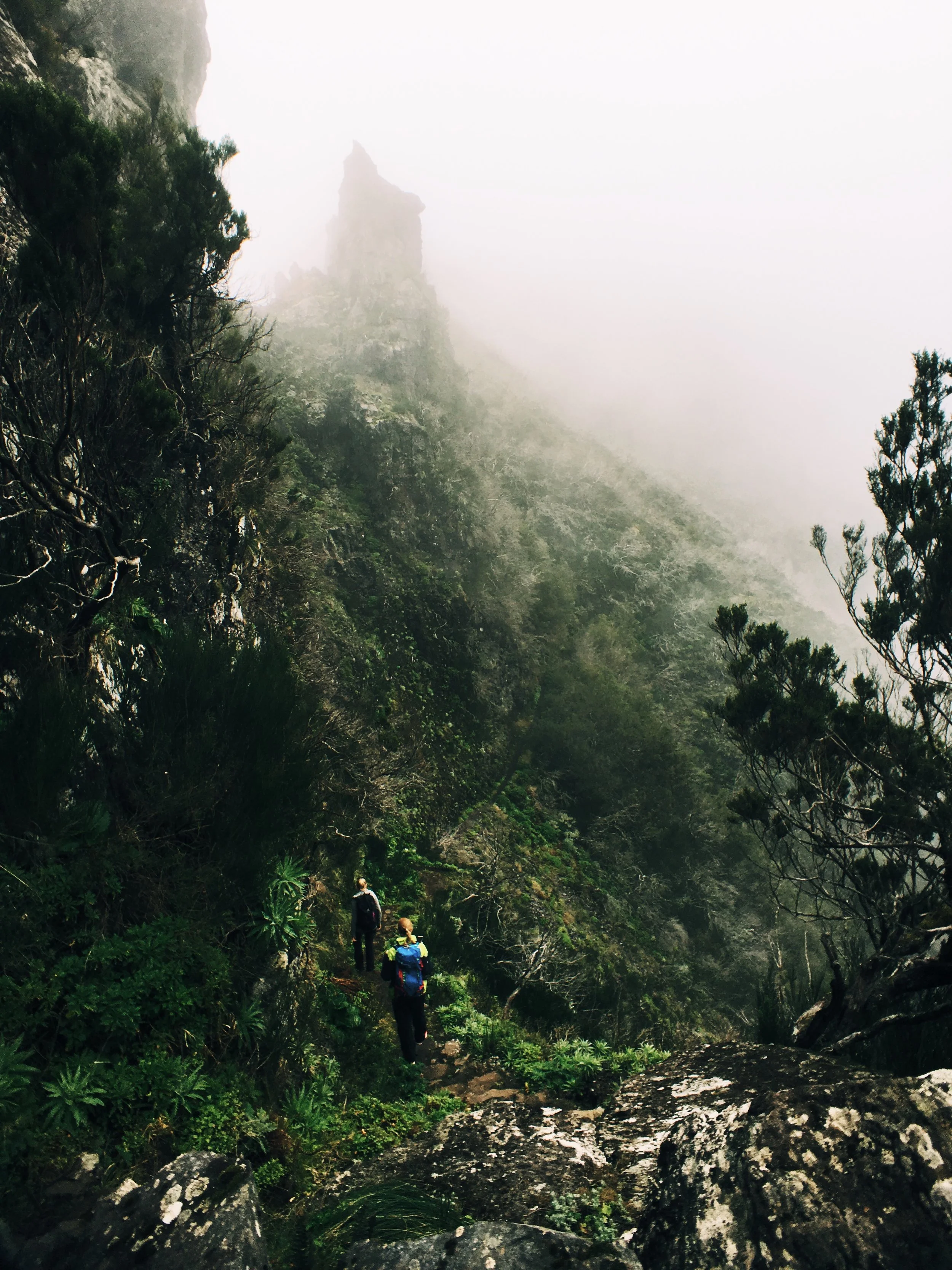 The north side of the ridge is rainforest-like and it can be chilly