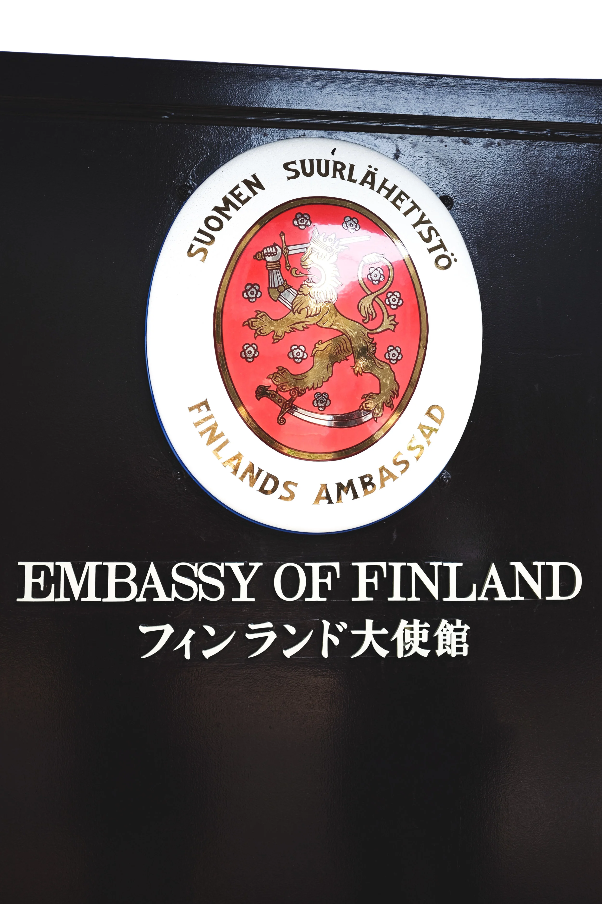 Voting at the Embassy was an experience