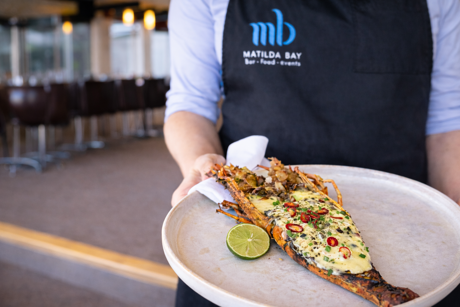 cray pic2 horizontal.png