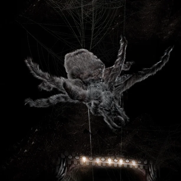 spidermaya furtest_001.jpg