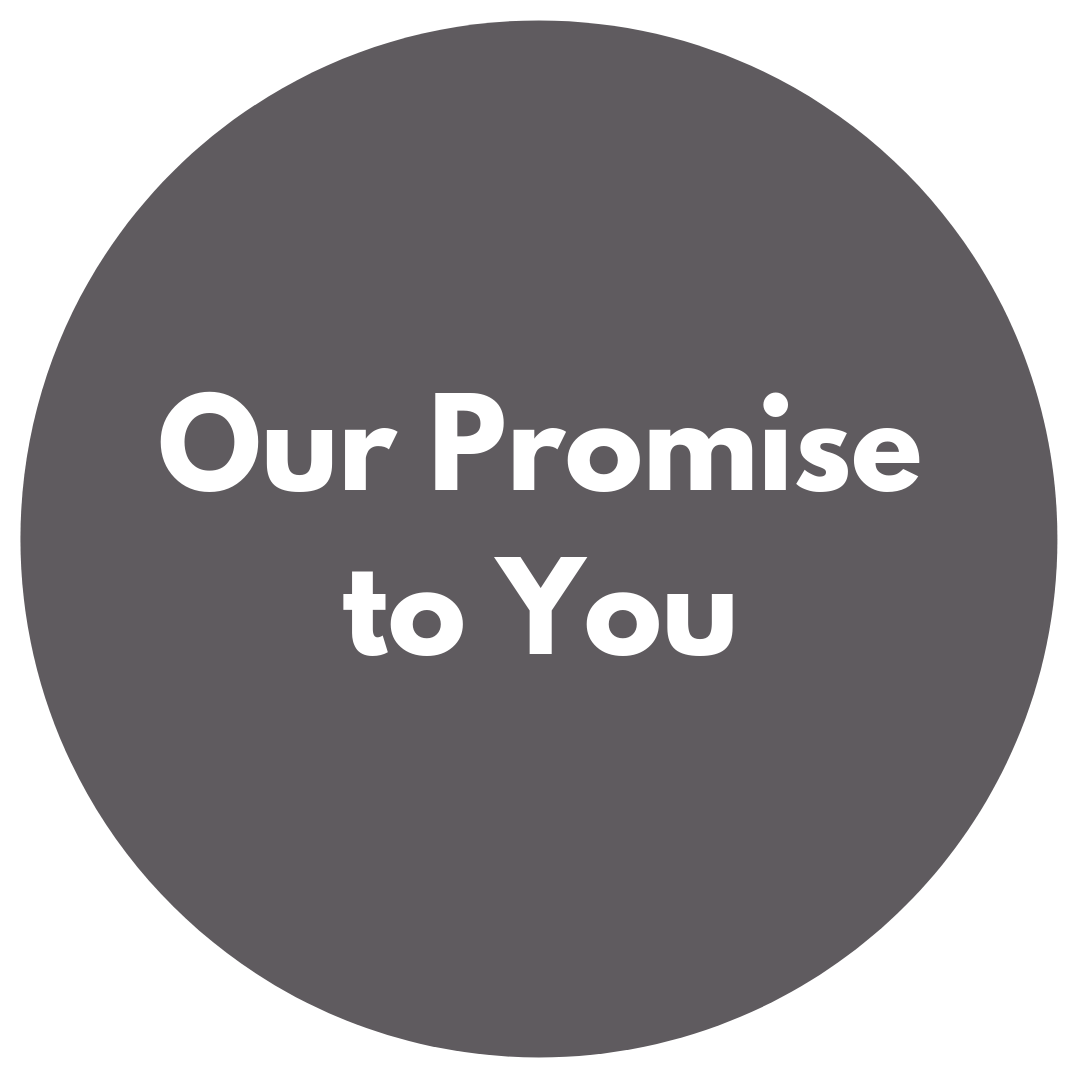 About Paragon (1).png