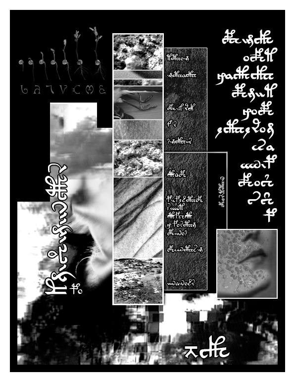 Page 05 copy.jpg