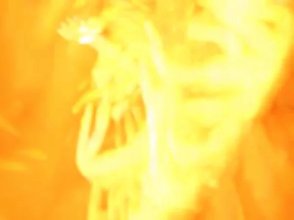 ultrasound.jpg