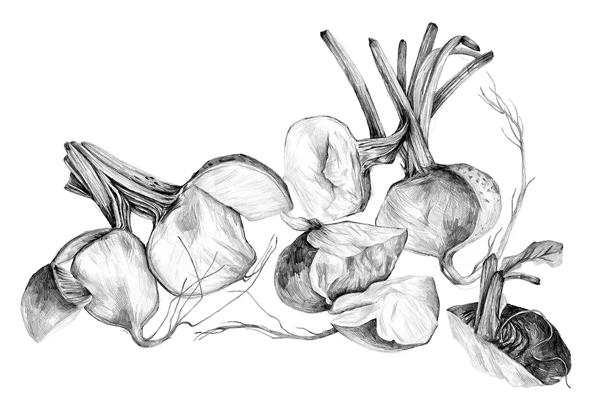  Raw root veggies 