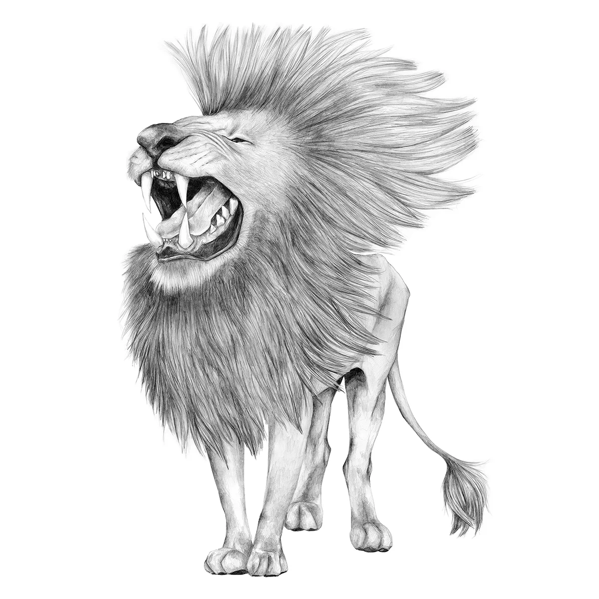 Lisa_Billvik_Personal_Lion.jpg