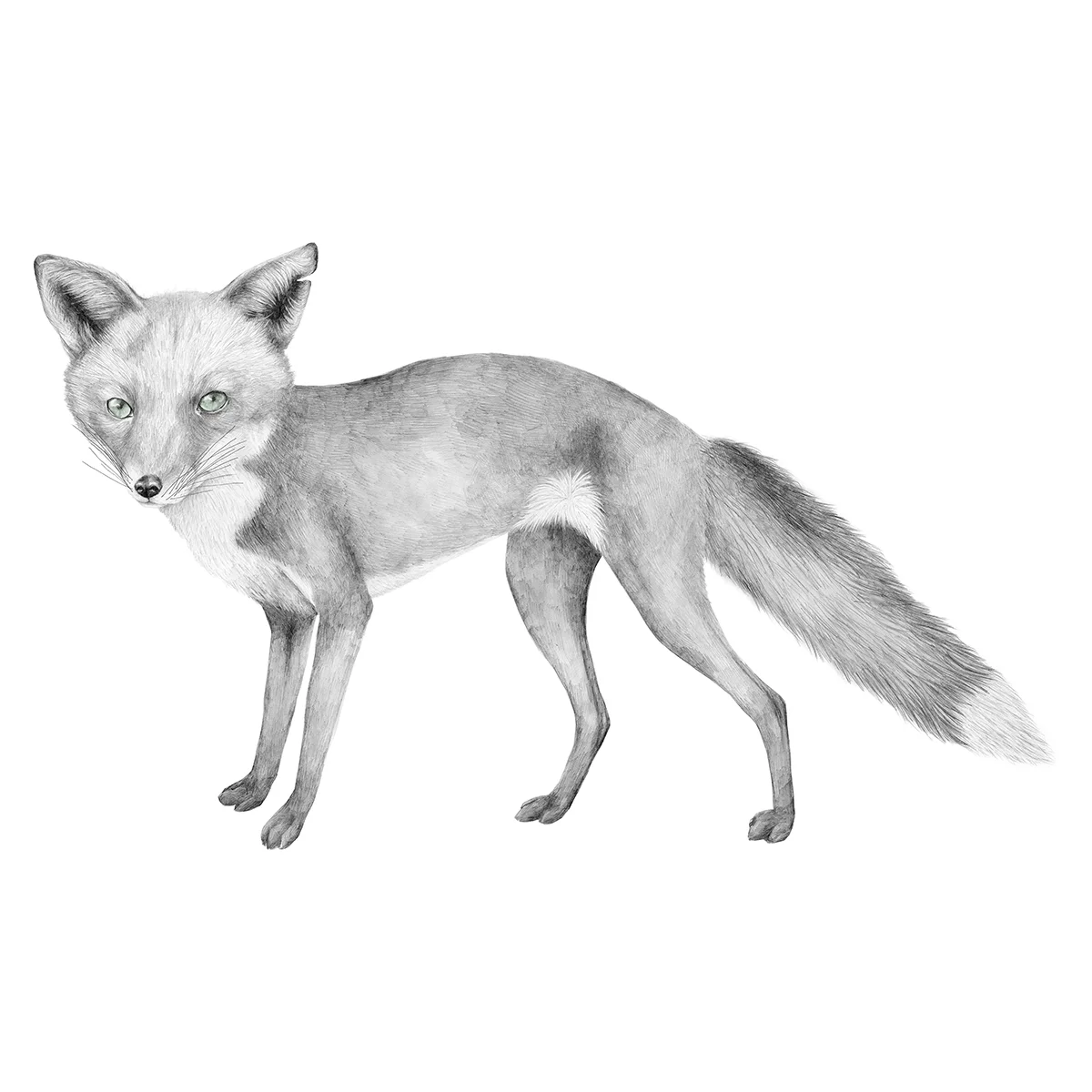 Lisa_Billvik_Personal_Fox.jpg