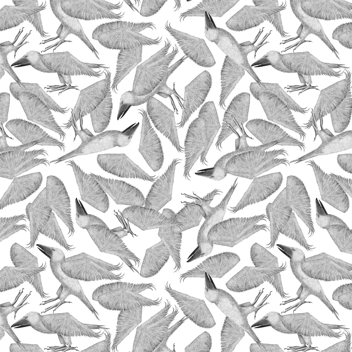 Lisa_Billvik_1_birds.jpg