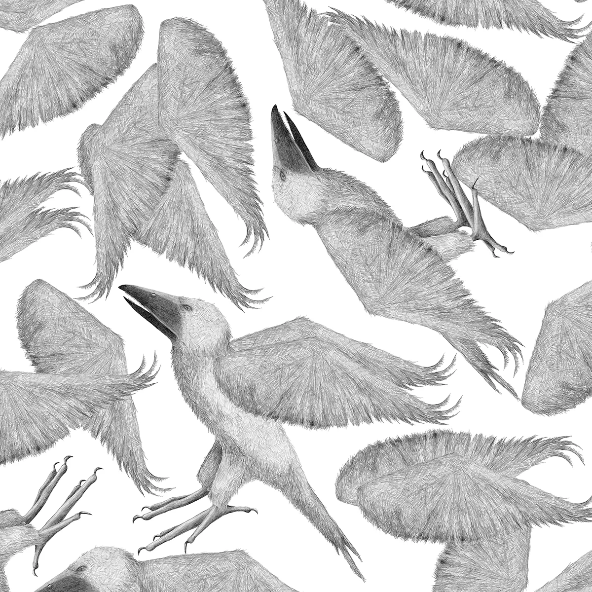 Lisa_Billvik_2_birds.jpg