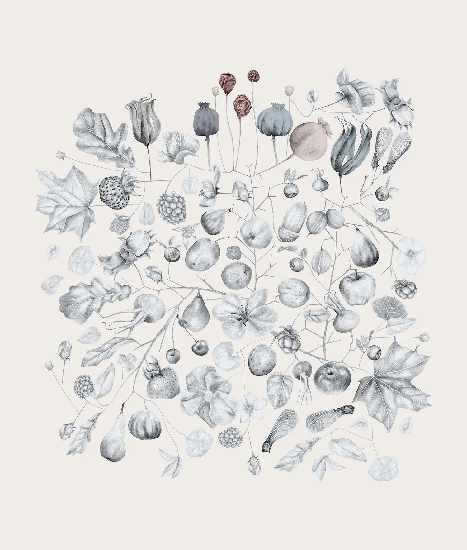 LisaBillvikNoren-Wild in my garden_poster2.jpg