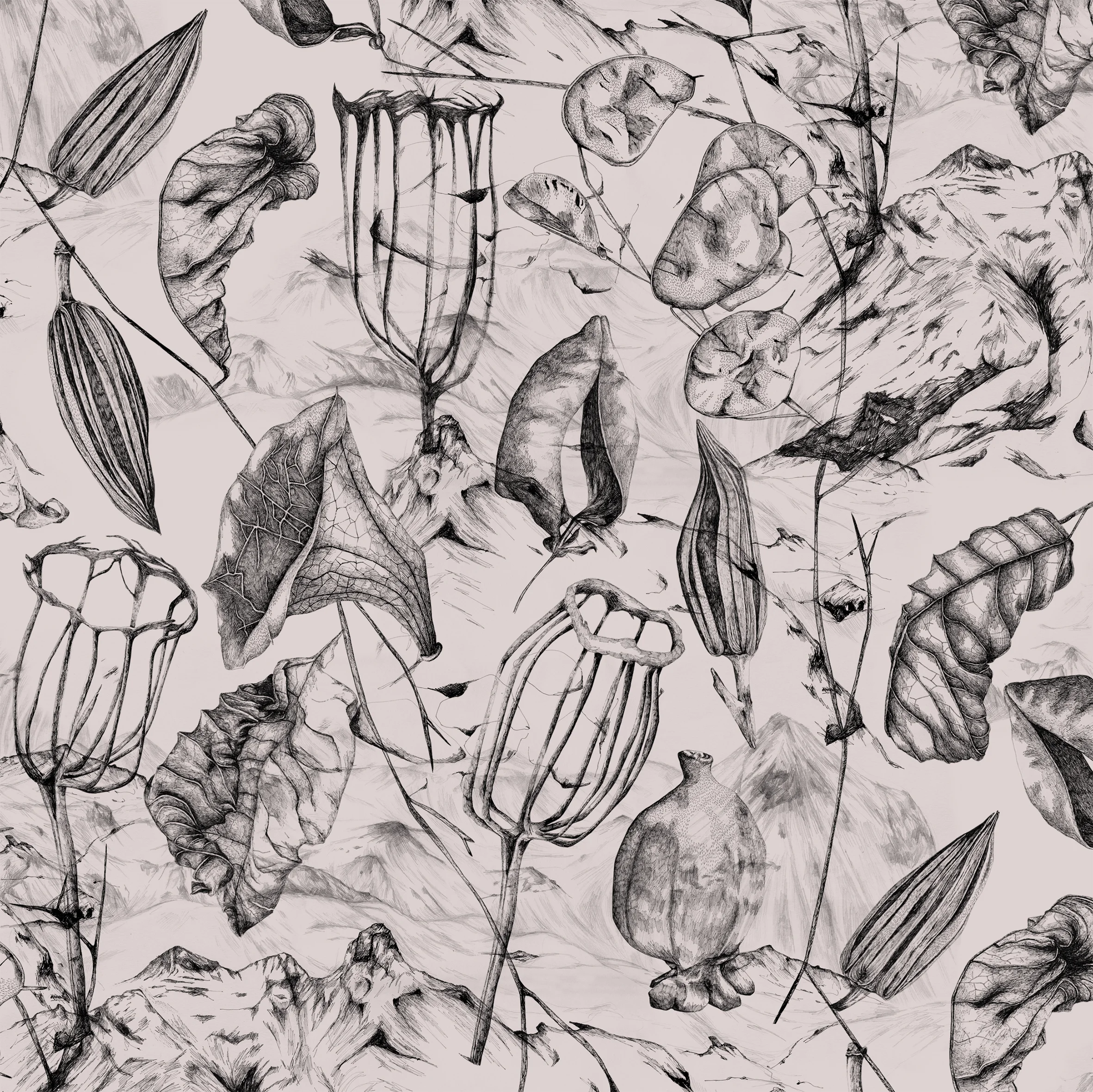 LisaBillvikNoren-seed&leaf-1.jpg