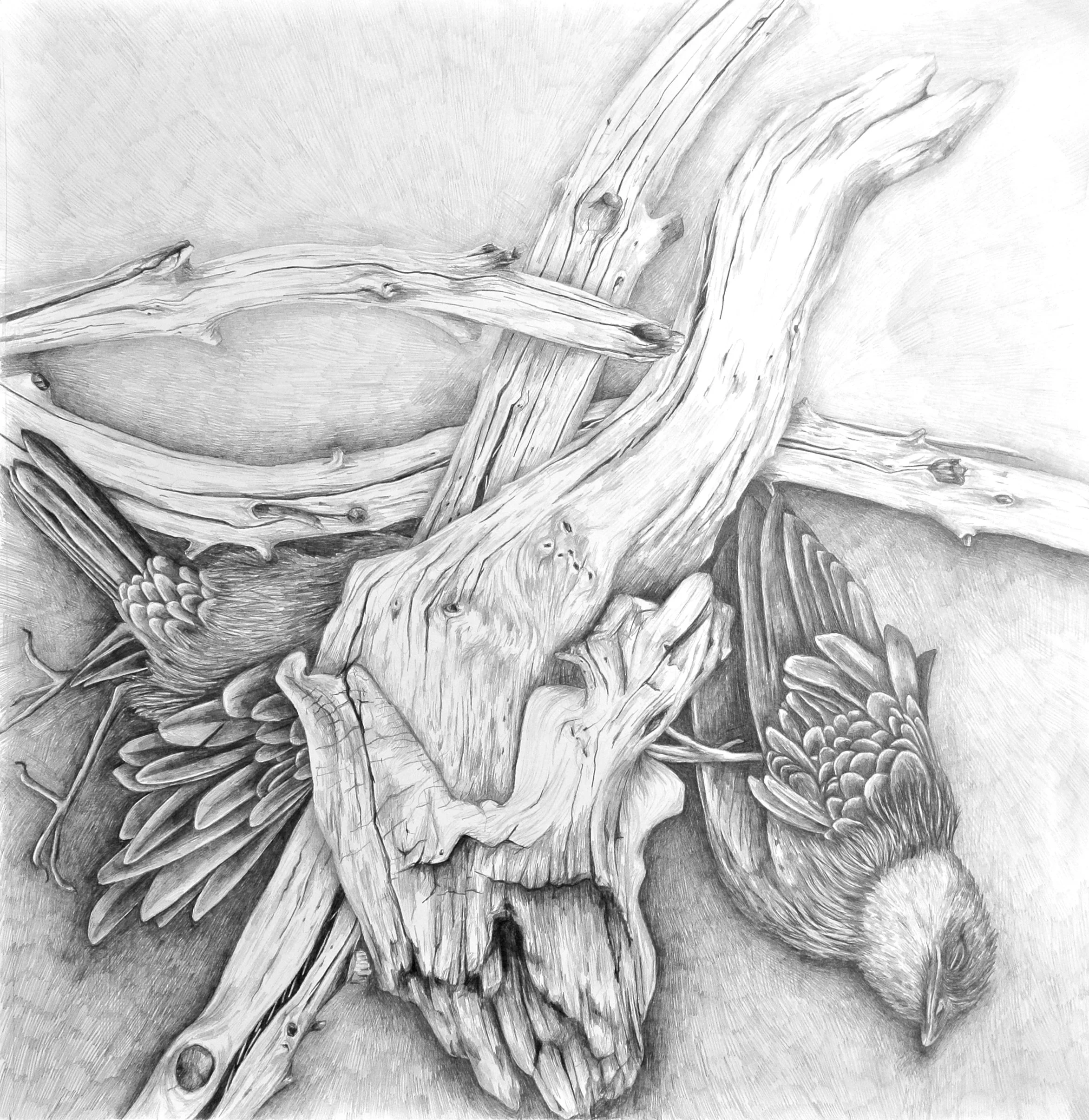 LisaNoren-Calm in mind-2012-46x47.jpg
