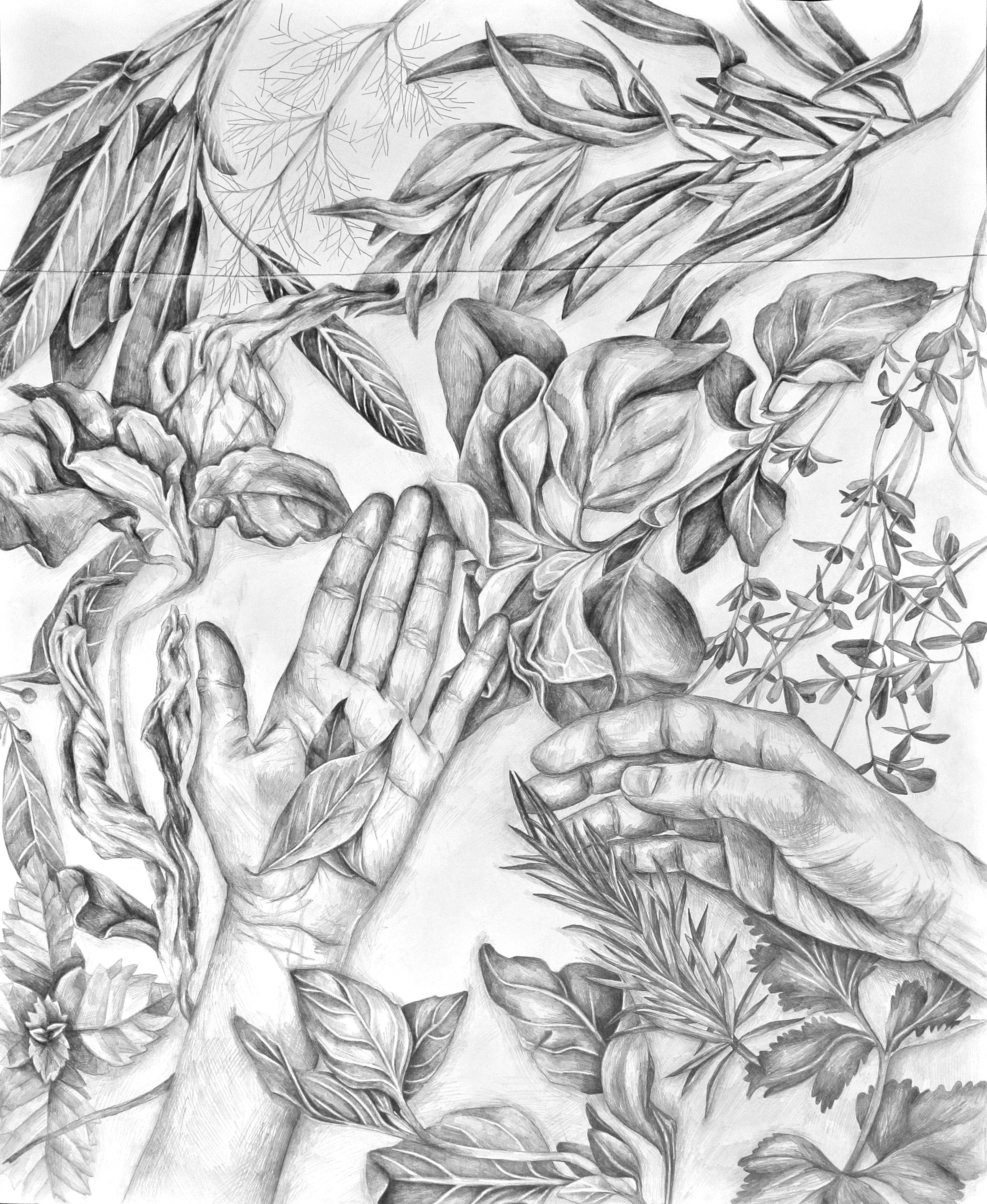 LisaNoren-Foraging-2013-46x56.jpg