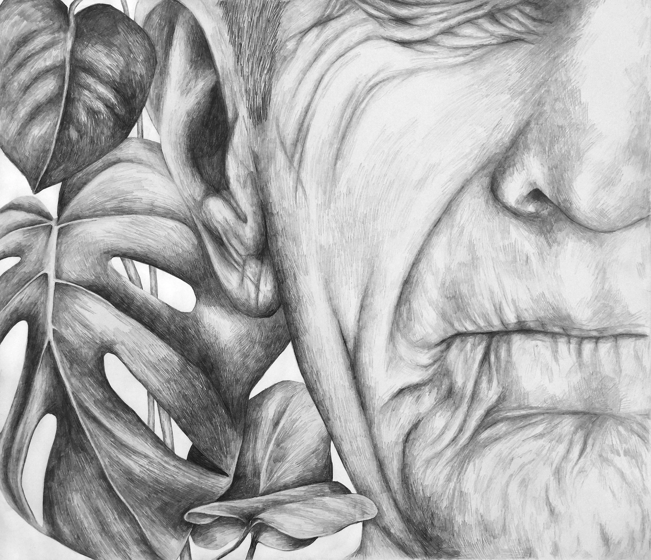 LisaNoren-2016-43x50.jpg