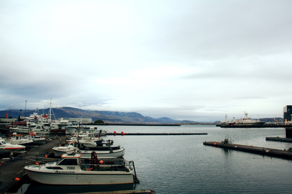 Reykjavik Harbour