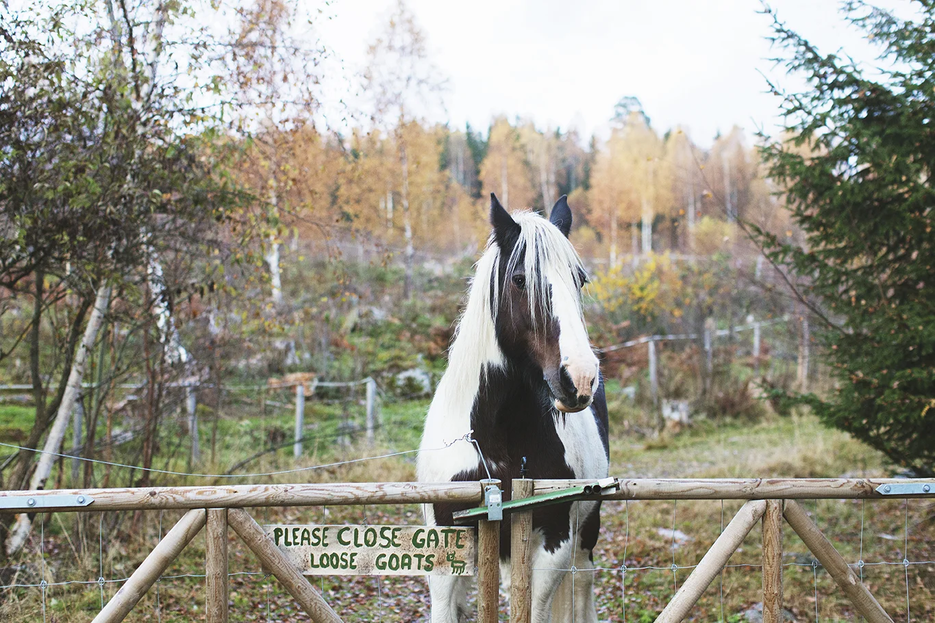 Hurdal Økolandsby