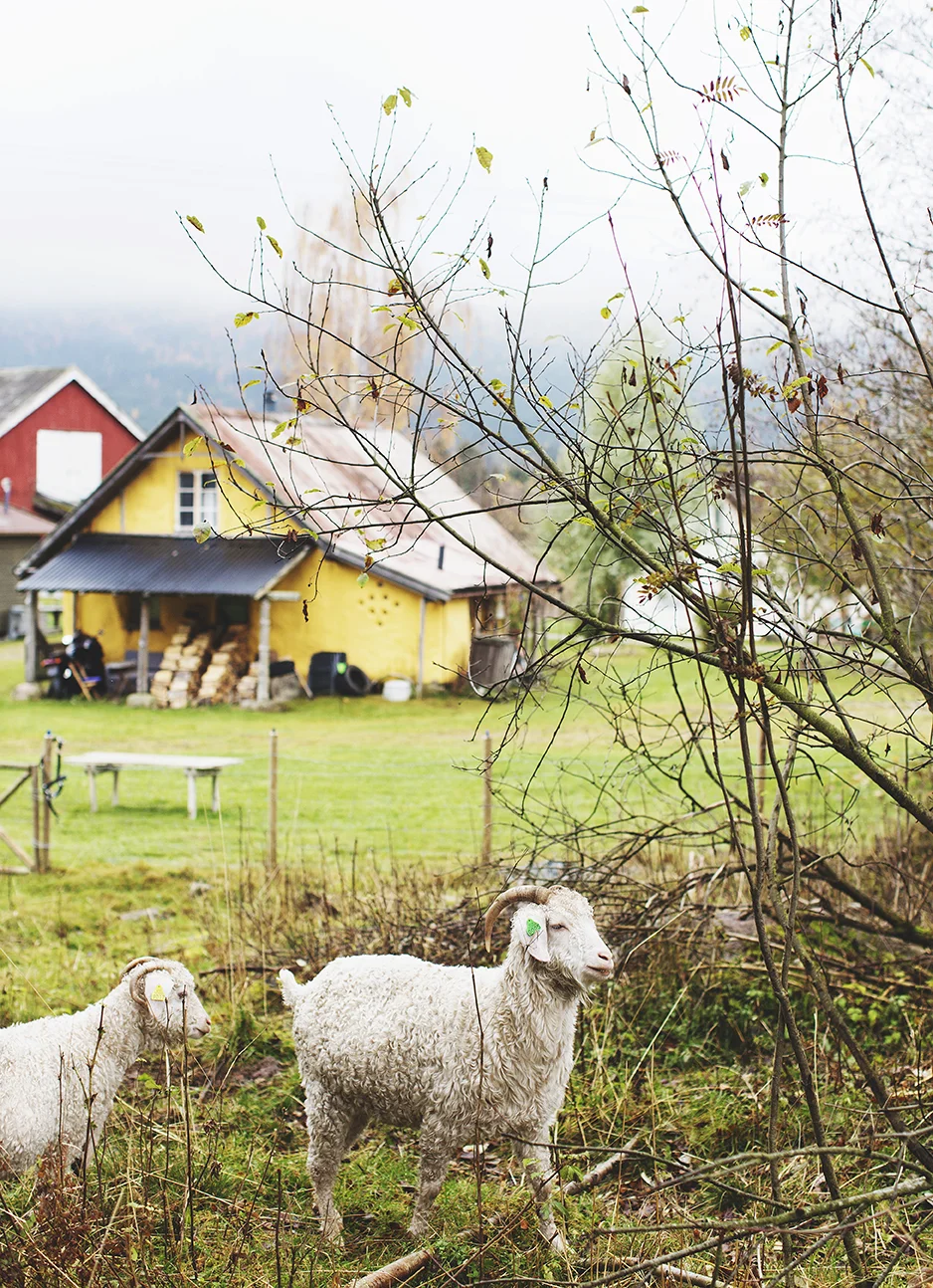 Hurdal Økolandsby