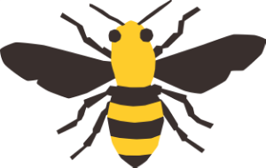 bigruppa.png