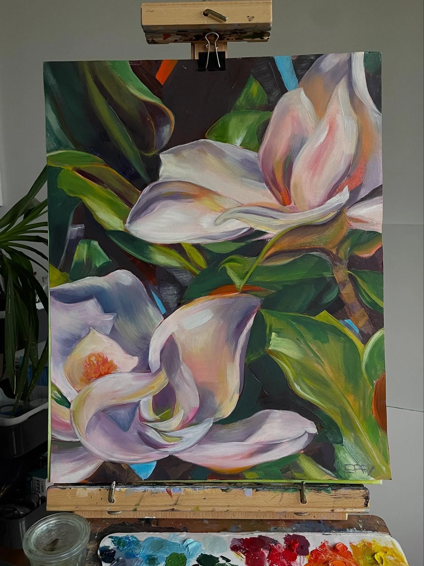 Magnolias I
Oil on canvas paper
40cm x 70cm

Currently in Lisboa, filling my cup as they say ⛲️ I&rsquo;m just documenting starting again from April 2025, before these are turned into prints.

I painted a collection of 4 Magnolias because they were b