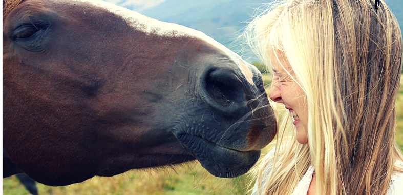 Horse and Spirit festival 2015