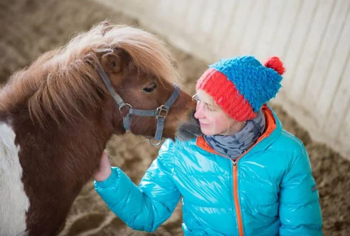 Heroes Journey – Zweitägiges Bewusstseinstraing mit Pferden 31.10-01.11.15