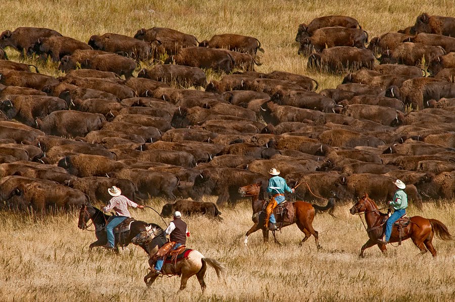 5 Tage Workshop in der Wildnis Colorado's 