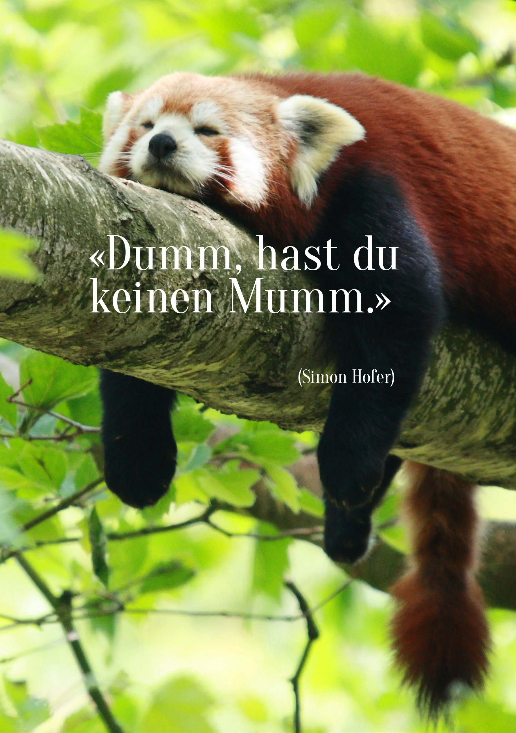 Spruch126.jpg
