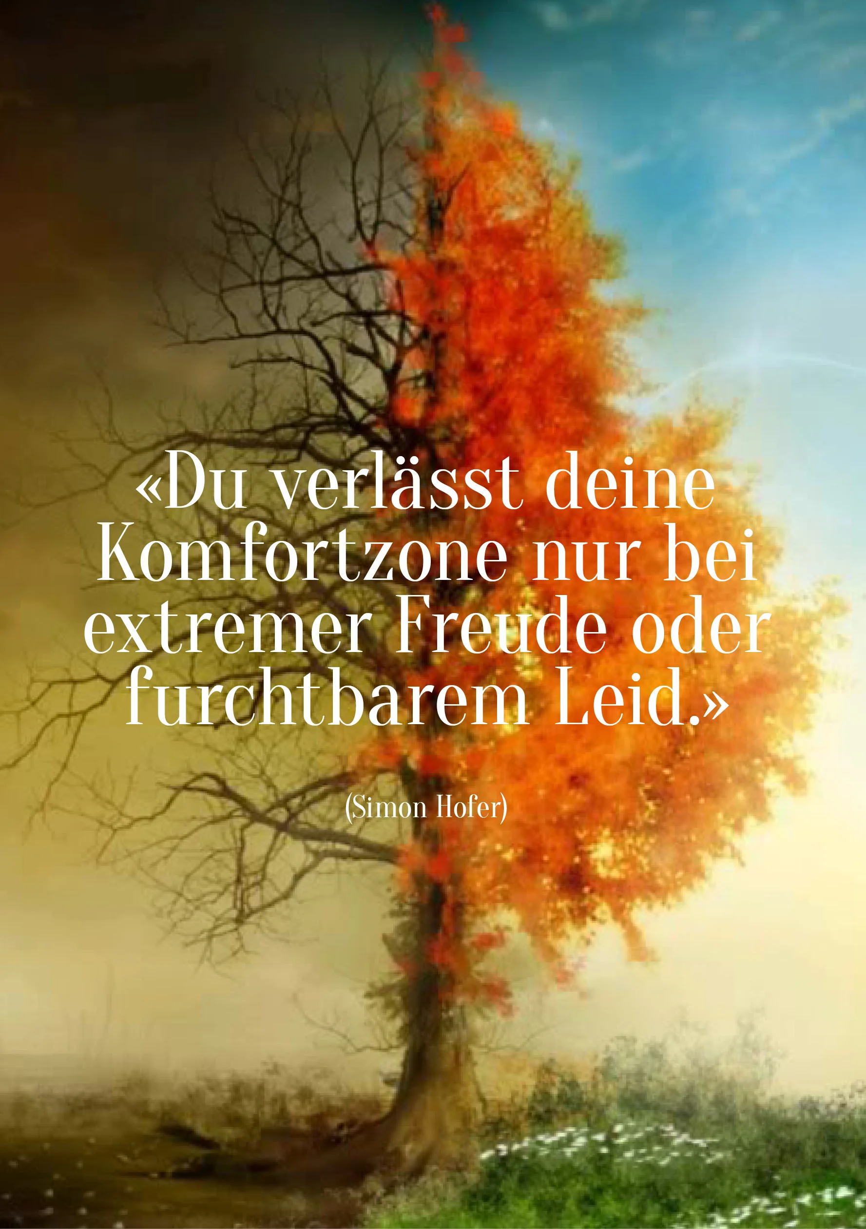 Spruch136.jpg