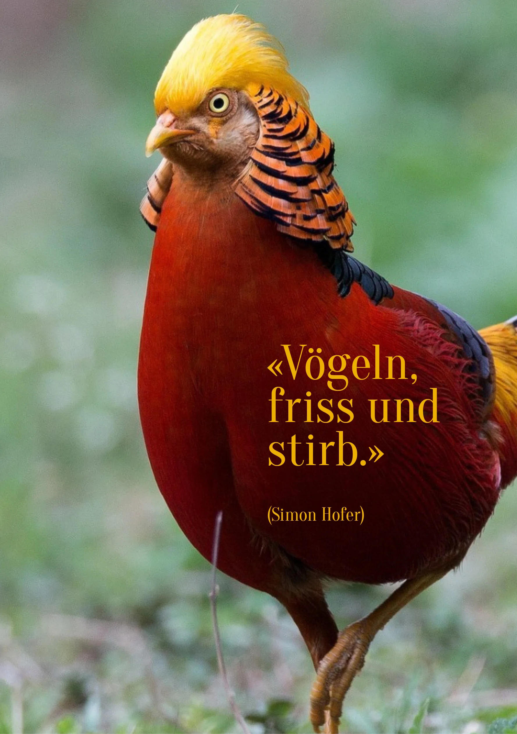 Spruch138.jpg