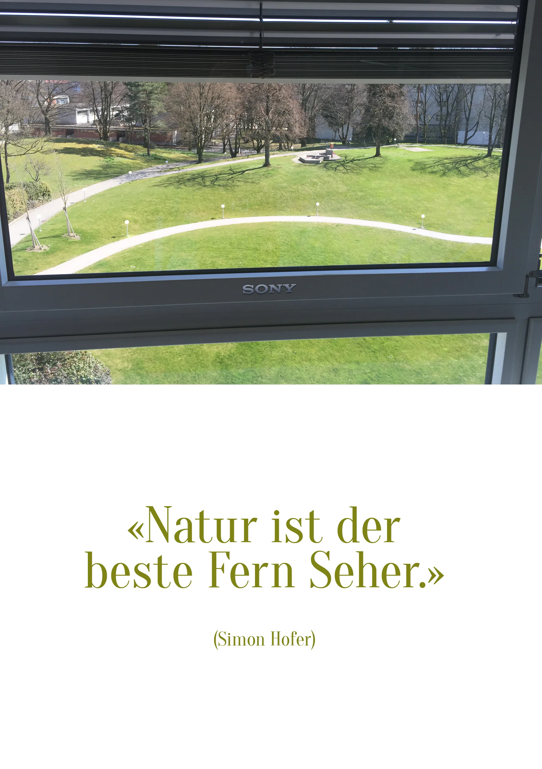 Spruch173.jpg