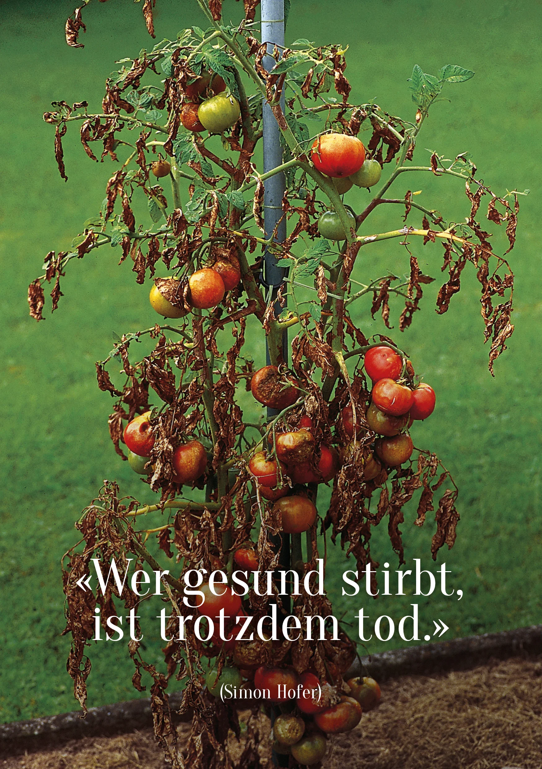 Spruch177.jpg