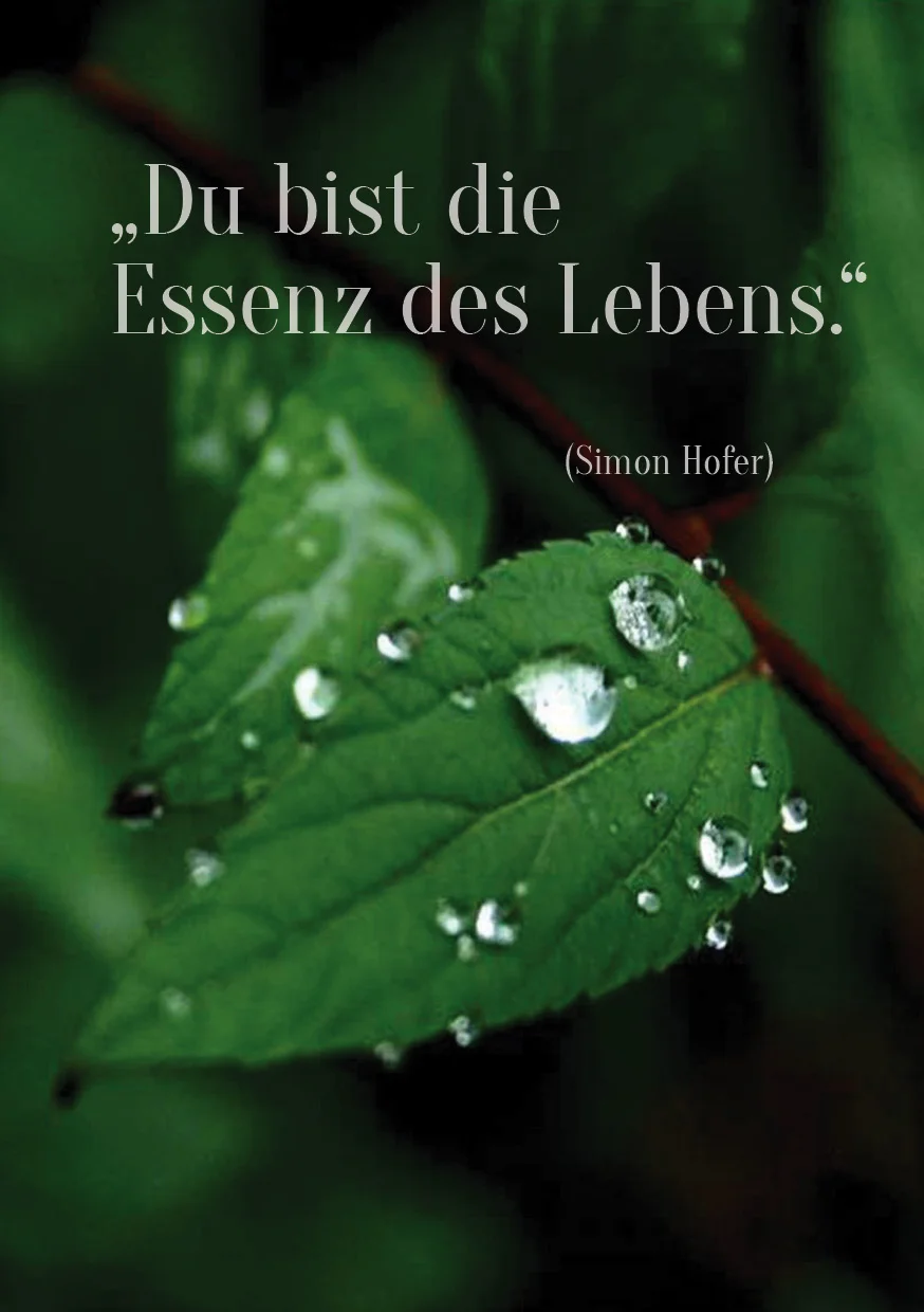 Spruch40.jpg