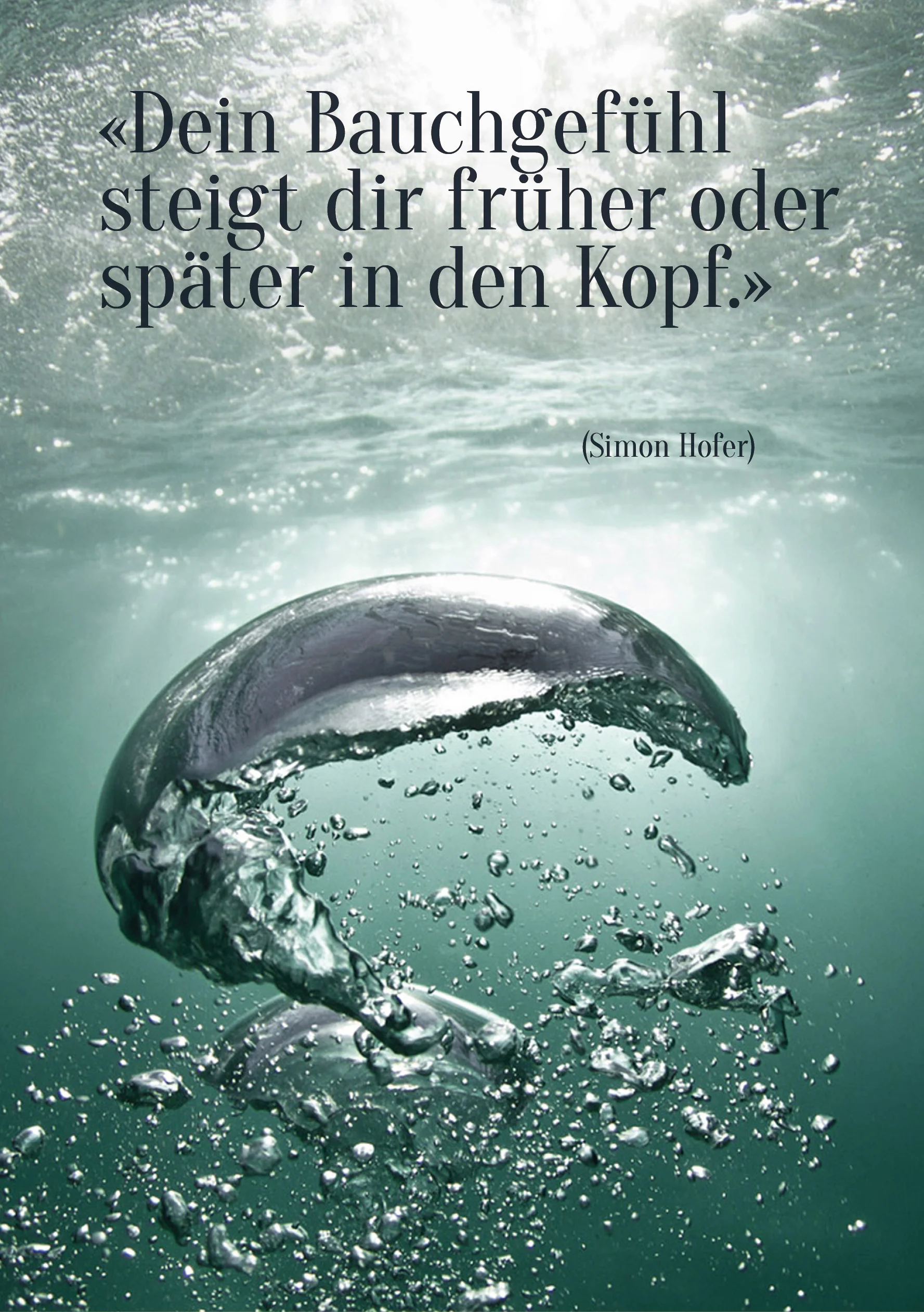 Spruch88.jpg