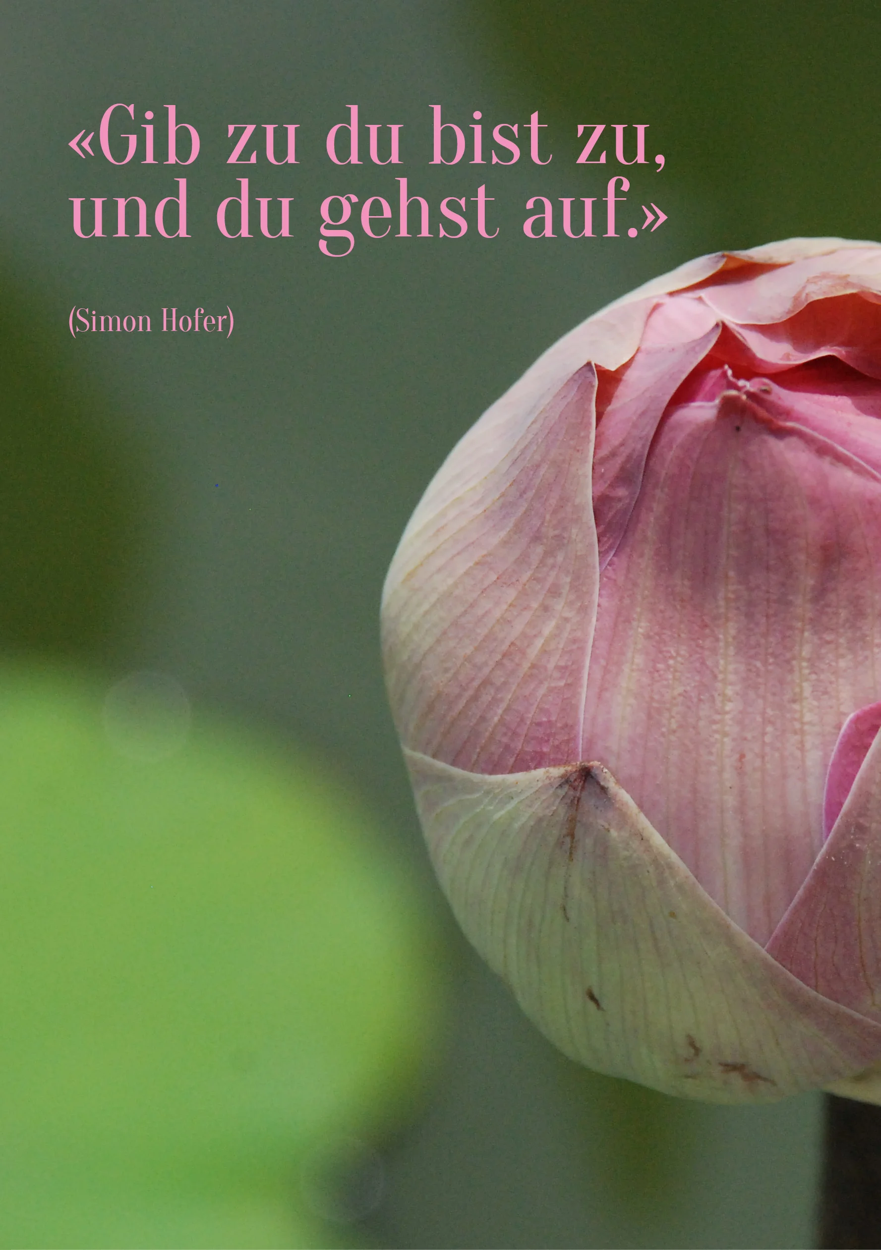 Spruch134.jpg