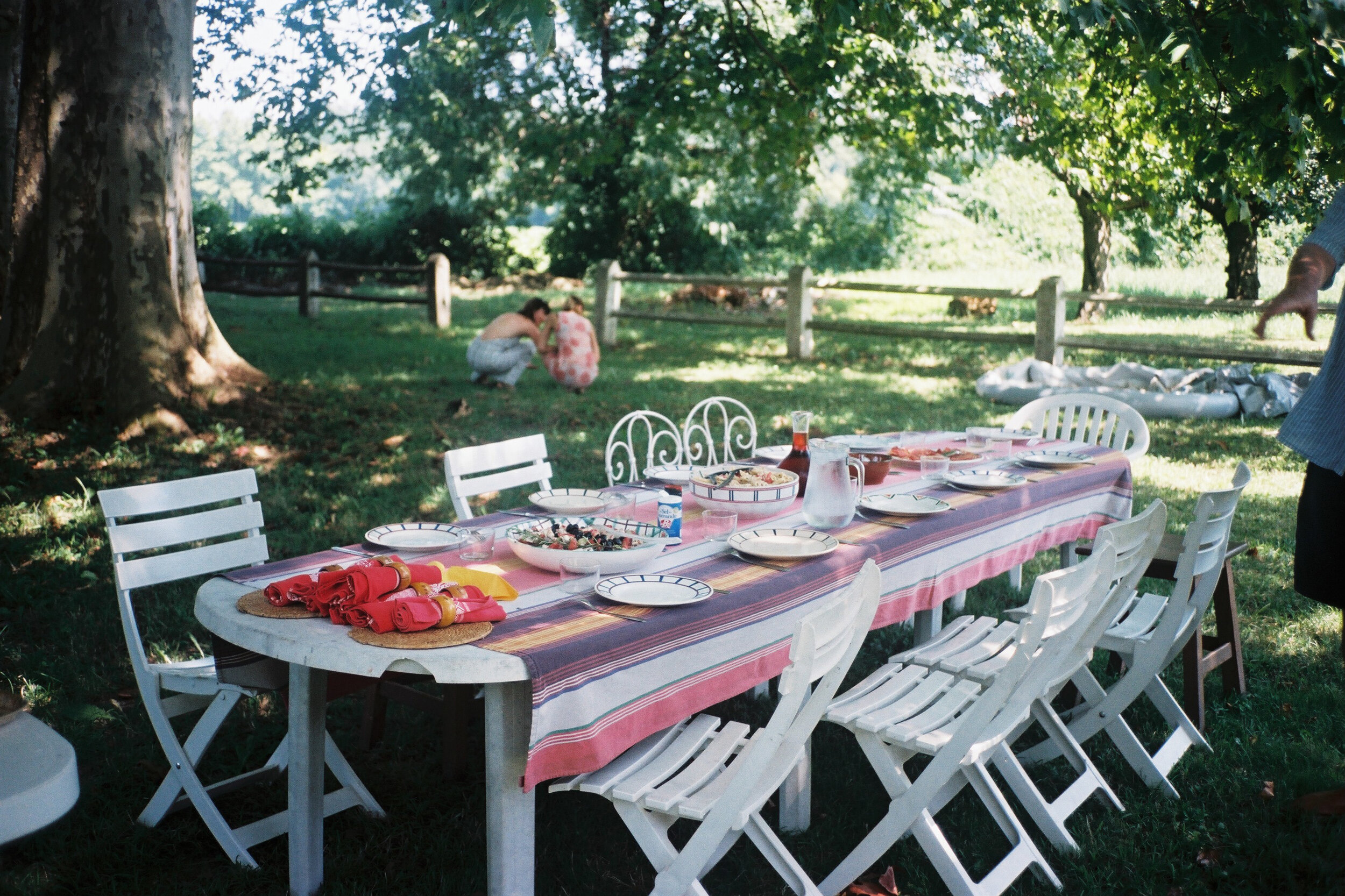 dejeuner sur l'herbe bayonne.jpg