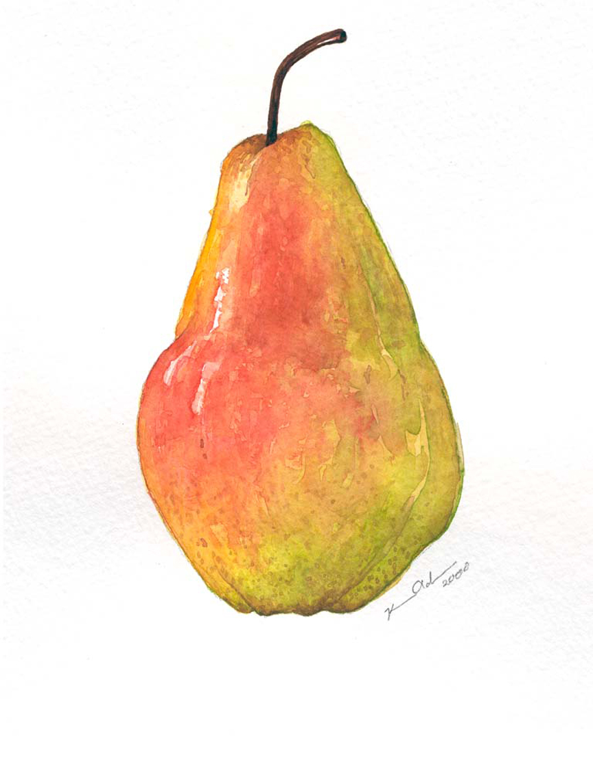 Bartlett Pear   8 x 10   Watercolor on Paper (sold)