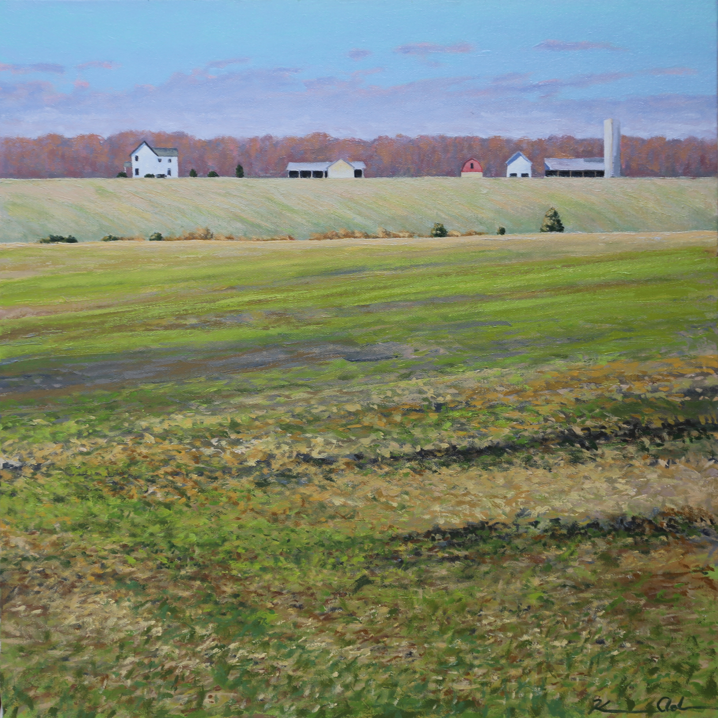 Across the Field 20 X 20 oil on canvas (SOLD)