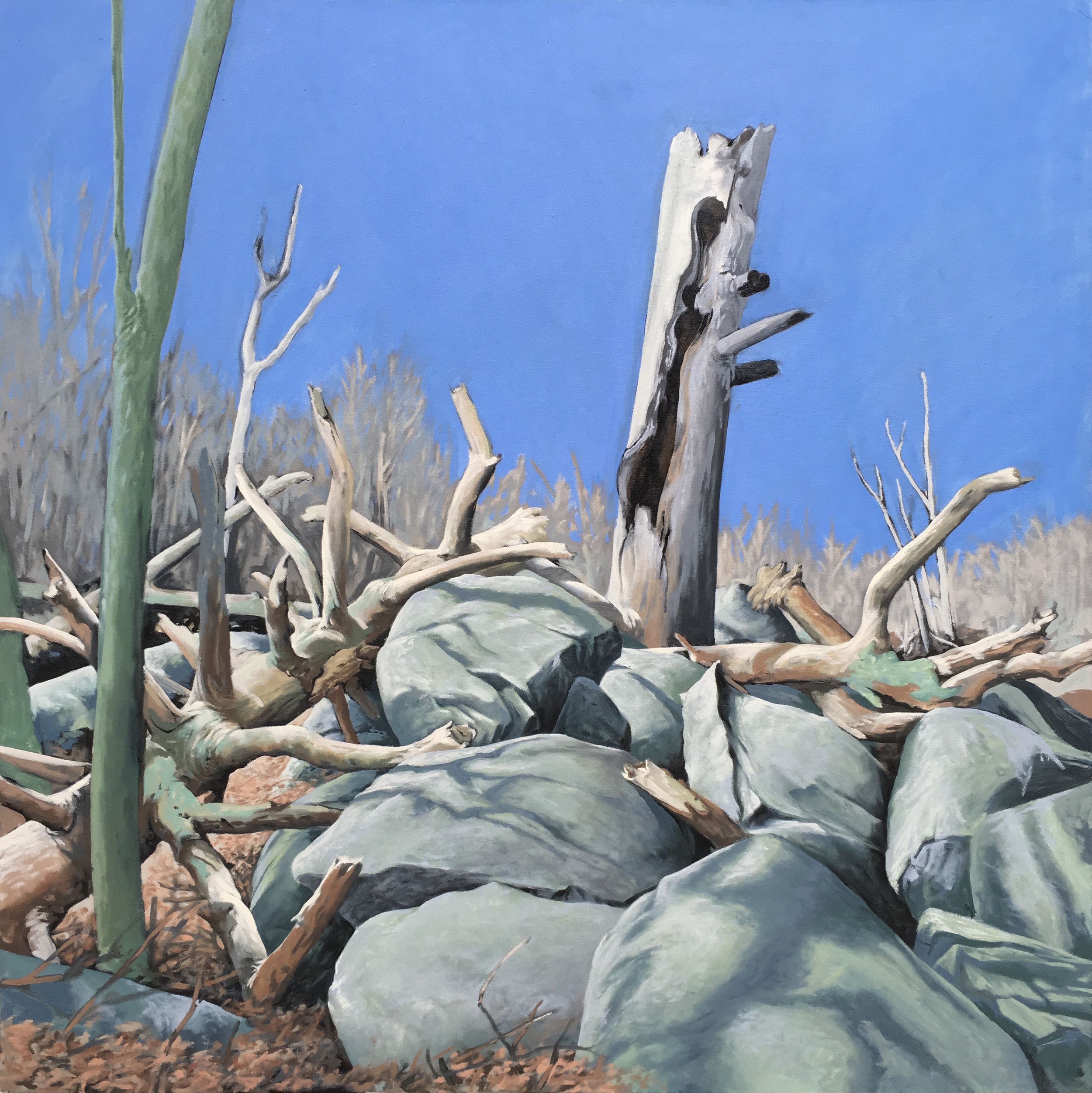 "Along the Trail: Mary's Rock" 3' X 3' oil on canvas SOLD