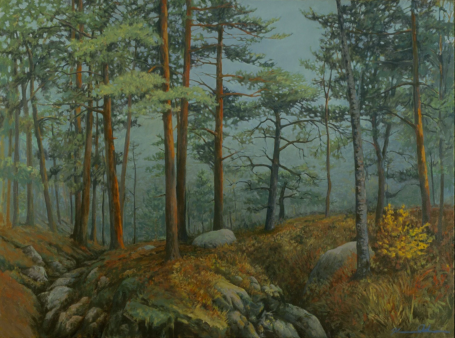 Forest Light 30 X 40 Oil on Canvas SOLD