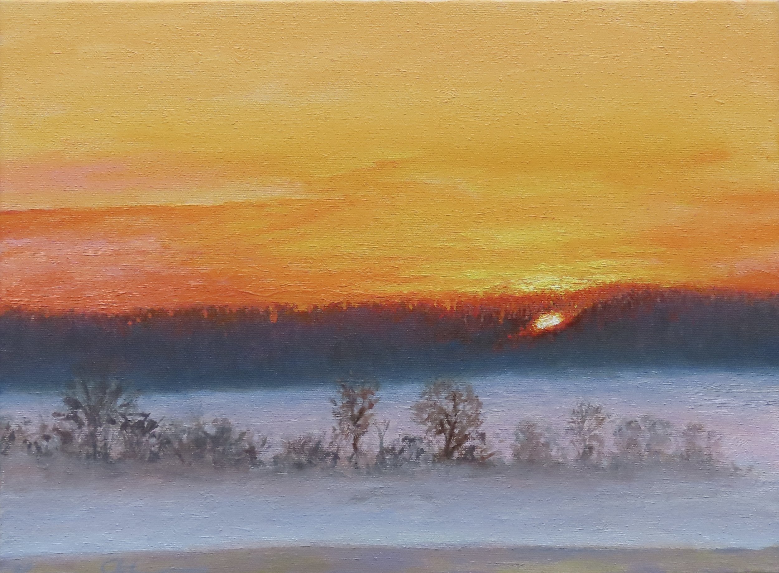 "Sunrise Through the Trees" 12" X 16" oil on panel $900