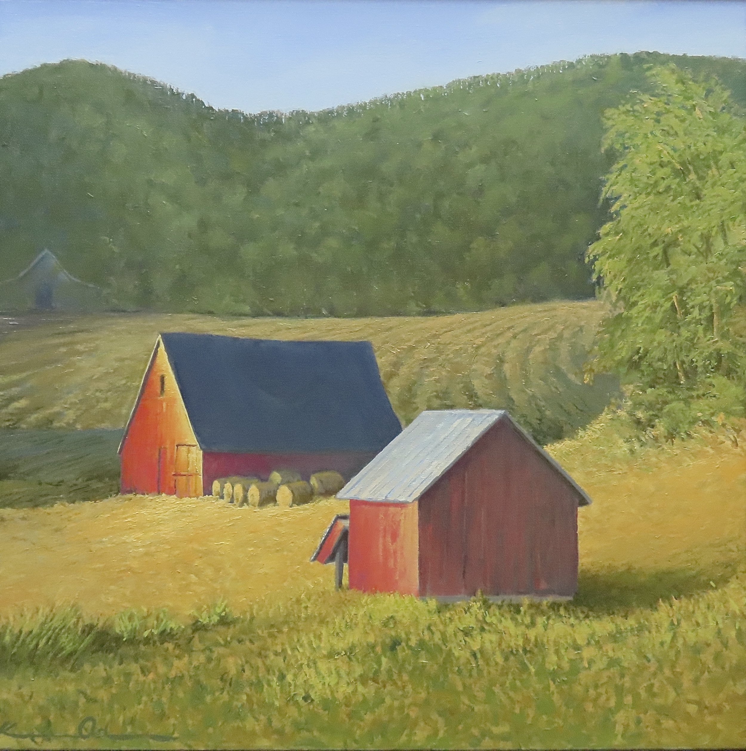 "Summer Morning Light: 231 Barn" 24" x 24" oil on canvas $2500