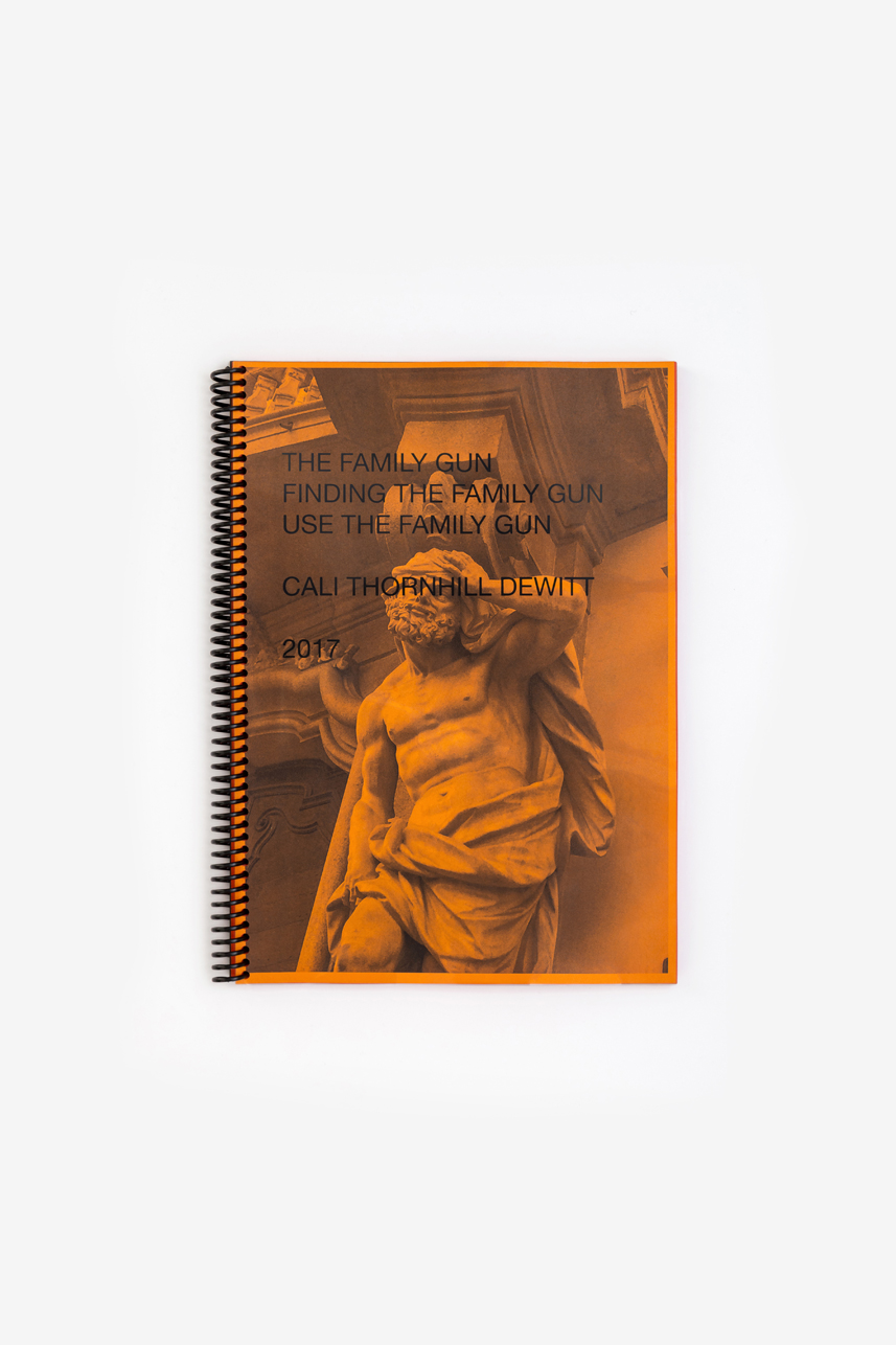 CALI THORNHILL DEWITT - FINDING the family gun 142 PAGES 21 X 29.7 CM EDITION OF 200 OMMU 2017 €25 add to cart
