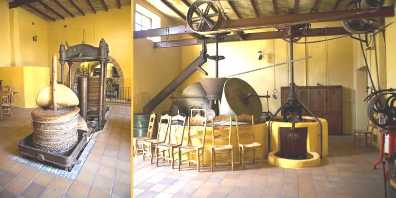 Interior of Oro del Desierto - Number 1 organic extra virgin olive oil in the world!