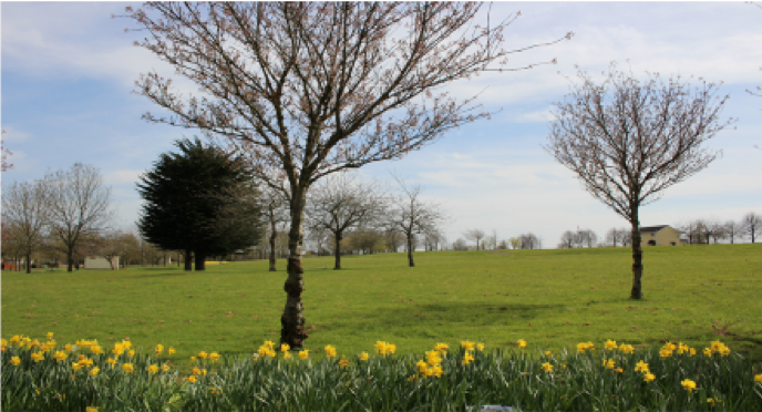 Green spaces and well cared for homes now stand on Drumellan Estate.